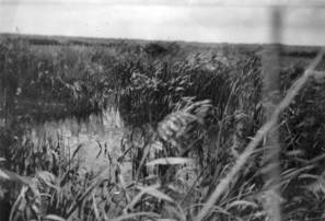 C:\Users\pd\Documents\Data\460 Sqdn\Prop blade\Photo video dump\1950s photostadil7.jpg